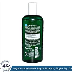 Logona_Naturkosmetik__Repair_Shampoo__Gingko__Dry__Damaged_Hair__8.5_fl_oz__250_ml_.jpg