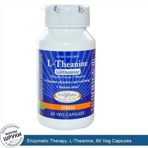 Enzymatic_Therapy__L_Theanine__60_Veg_Capsules.jpg