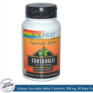 Solaray__Ayurvedic_Herbs__Forskohlii__385_mg__60_Easy_To_Swallow_Capsules.jpg