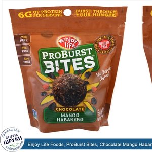 Enjoy_Life_Foods__ProBurst_Bites__Chocolate_Mango_Habanero__6.4oz__180g_.jpg