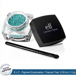 E.L.F.__Pigment_Eyeshadow__Tropical_Teal__0.05_oz__1.5_g_.jpg