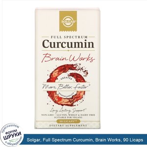 Solgar__Full_Spectrum_Curcumin__Brain_Works__90_Licaps.jpg