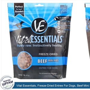 Vital_Essentials__Freeze_Dried_Entree_For_Dogs__Beef_Mini_Nibs__1_lb.__453_g_.jpg