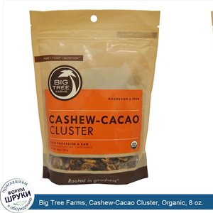 Big_Tree_Farms__Cashew_Cacao_Cluster__Organic__8_oz..jpg