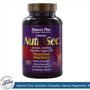 Nature_s_Plus__NutraSec_Chewable__Natural_Peppermint__90_Chewable_Tablets.jpg