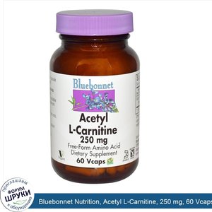 Bluebonnet_Nutrition__Acetyl_L_Carnitine__250_mg__60_Vcaps.jpg