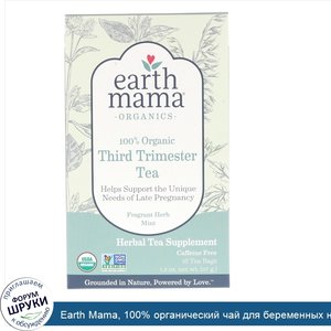 Earth_Mama__100__органический_чай_для_беременных_на_позднем_сроке__со_вкусом_травяной_мяты__16...jpg