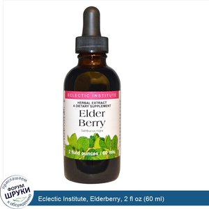 Eclectic_Institute__Elderberry__2_fl_oz__60_ml_.jpg