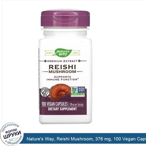 Nature_s_Way__Reishi_Mushroom__376_mg__100_Vegan_Capsules.jpg