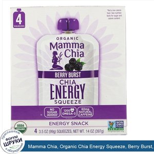 Mamma_Chia__Organic_Chia_Energy_Squeeze__Berry_Burst__4_Pouches__3.5_oz__99_g__Each.jpg