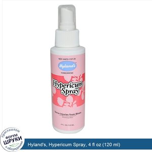 Hyland_s__Hypericum_Spray__4_fl_oz__120_ml_.jpg