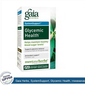 Gaia_Herbs__SystemSupport__Glycemic_Health__гликемический_баланс__60_растительных_жидкостных_к...jpg