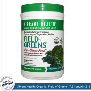 Vibrant_Health__Organic__Field_of_Greens__7_51_унций__213_г_.jpg