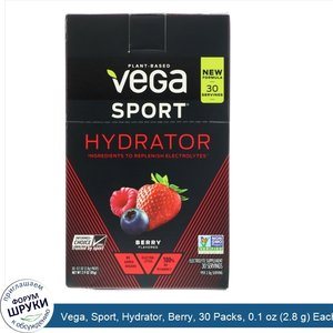 Vega__Sport__Hydrator__Berry__30_Packs__0.1_oz__2.8_g__Each.jpg