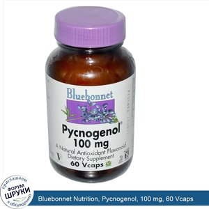 Bluebonnet_Nutrition__Pycnogenol__100_mg__60_Vcaps.jpg