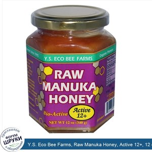 Y.S._Eco_Bee_Farms__Raw_Manuka_Honey__Active_12___12_oz__340_g_.jpg