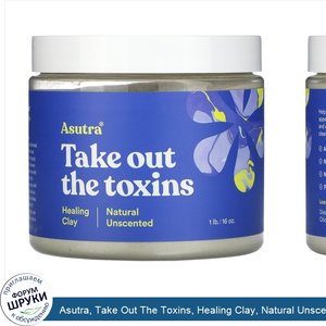 Asutra__Take_Out_The_Toxins__Healing_Clay__Natural_Unscented__1_lb__16_oz_.jpg