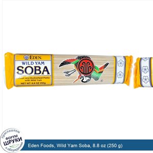 Eden_Foods__Wild_Yam_Soba__8.8_oz__250_g_.jpg