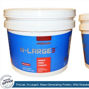 ProLab__N_Large3__Mass_Generating_Protein__Wild_Strawberry__10_lbs__4.53_kg_.jpg