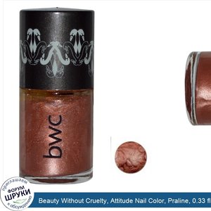 Beauty_Without_Cruelty__Attitude_Nail_Color__Praline__0.33_fl_oz__10_ml_.jpg