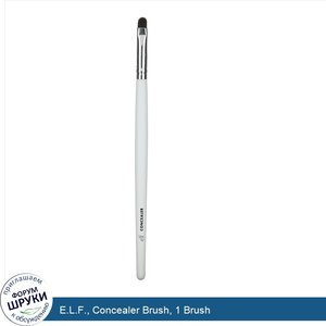 E.L.F.__Concealer_Brush__1_Brush.jpg