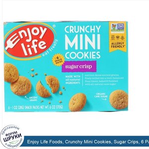 Enjoy_Life_Foods__Crunchy_Mini_Cookies__Sugar_Crips__6_Packs__1_oz__28_g__Each.jpg