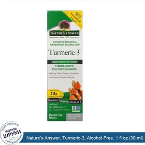 Nature_s_Answer__Turmeric_3__Alcohol_Free__1_fl_oz__30_ml_.jpg