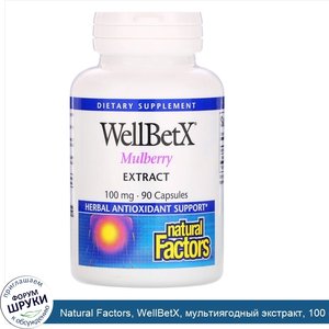 Natural_Factors__WellBetX__мультиягодный_экстракт__100_мг__90_капсул.jpg