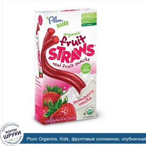 Plum_Organics__Kids__фруктовые_соломинки__клубничная_ваниль__5_упаковок__0.49_унций__14_г__шт..jpg