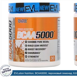 EVLution_Nutrition__BCAA5000__персиковый_лимонад__9_8_унц.__279_г_.jpg