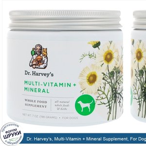 Dr._Harvey_s__Multi_Vitamin___Mineral_Supplement__For_Dogs__7_oz__198_g_.jpg