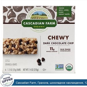 Cascadian_Farm__Гранола__шоколадное_наслаждение__12_унций__340_г_.jpg