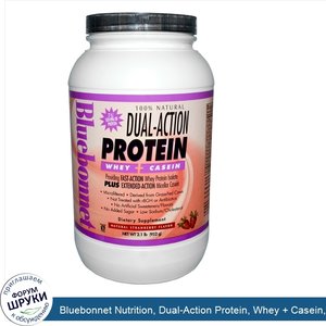 Bluebonnet_Nutrition__Dual_Action_Protein__Whey___Casein__Natural_Strawberry_Flavor__2.1_lb__9...jpg