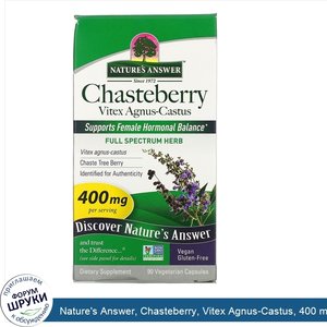 Nature_s_Answer__Chasteberry__Vitex_Agnus_Castus__400_mg__90_Vegetarian_Capsules.jpg