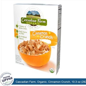 Cascadian_Farm__Organic__Cinnamon_Crunch__10.3_oz__292_g_.jpg