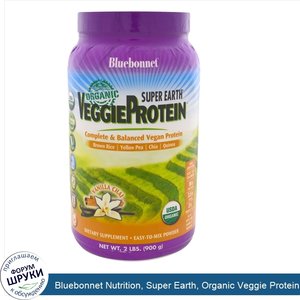 Bluebonnet_Nutrition__Super_Earth__Organic_Veggie_Protein__Vanillla_Chai_Flavor__2_lb__900_g_.jpg