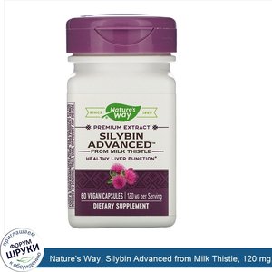 Nature_s_Way__Silybin_Advanced_from_Milk_Thistle__120_mg__60_Vegan_Capsules.jpg