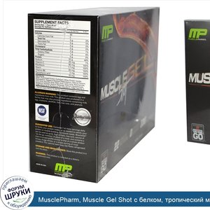 MusclePharm__Muscle_Gel_Shot_с_белком__тропический_манго__12_пакетиков_с_гелем__46_г_каждый.jpg