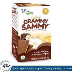 Plum_Organics__Kids__Organic_Grammy_Sammy__Cocoa_Graham_Banana_Yogurt__5_Bars__1.03_oz__29_g__...jpg