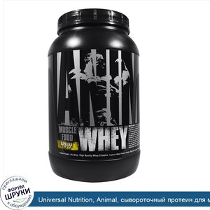 Universal_Nutrition__Animal__сывороточный_протеин_для_мышц__банан_сливки__2_фунта__907_г_.jpg