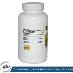 Thorne_Research__Animal_Health__MSM_75Vet__120_Capsules.jpg