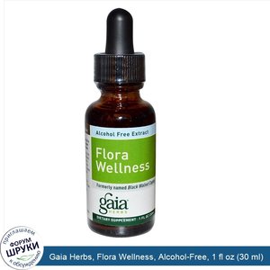 Gaia_Herbs__Flora_Wellness__Alcohol_Free__1_fl_oz__30_ml_.jpg