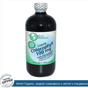 World_Organic__жидкий_хлорофилл_с_мятой_и_глицерином__100мг__474мл__16жидк.унций_.jpg