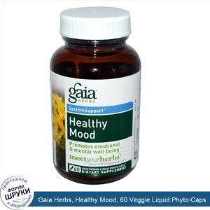 Gaia_Herbs__Healthy_Mood__60_Veggie_Liquid_Phyto_Caps.jpg