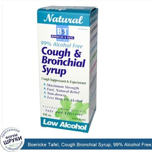 Boericke_Tafel__Cough_Bronchial_Syrup__99__Alcohol_Free__8_fl_oz.jpg