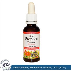 Natural_Factors__Bee_Propolis_Tincture__1_fl_oz__30_ml_.jpg