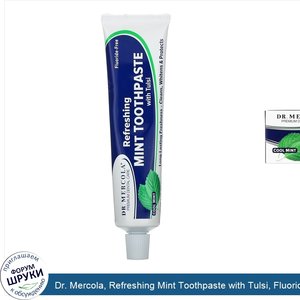 Dr._Mercola__Refreshing_Mint_Toothpaste_with_Tulsi__Fluoride_Free__Cool_Mint__3_oz__85_g_.jpg