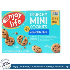 Enjoy_Life_Foods__Crunchy_Mini_Cookies__Chocolate_Chip__6_Snack_Packs__1_oz__28_g__Each.jpg