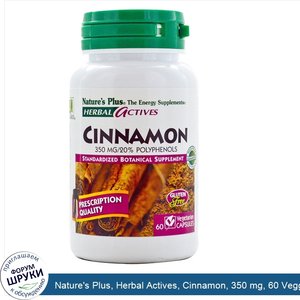 Nature_s_Plus__Herbal_Actives__Cinnamon__350_mg__60_Veggie_Caps.jpg