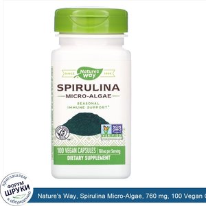 Nature_s_Way__Spirulina_Micro_Algae__760_mg__100_Vegan_Capsules.jpg